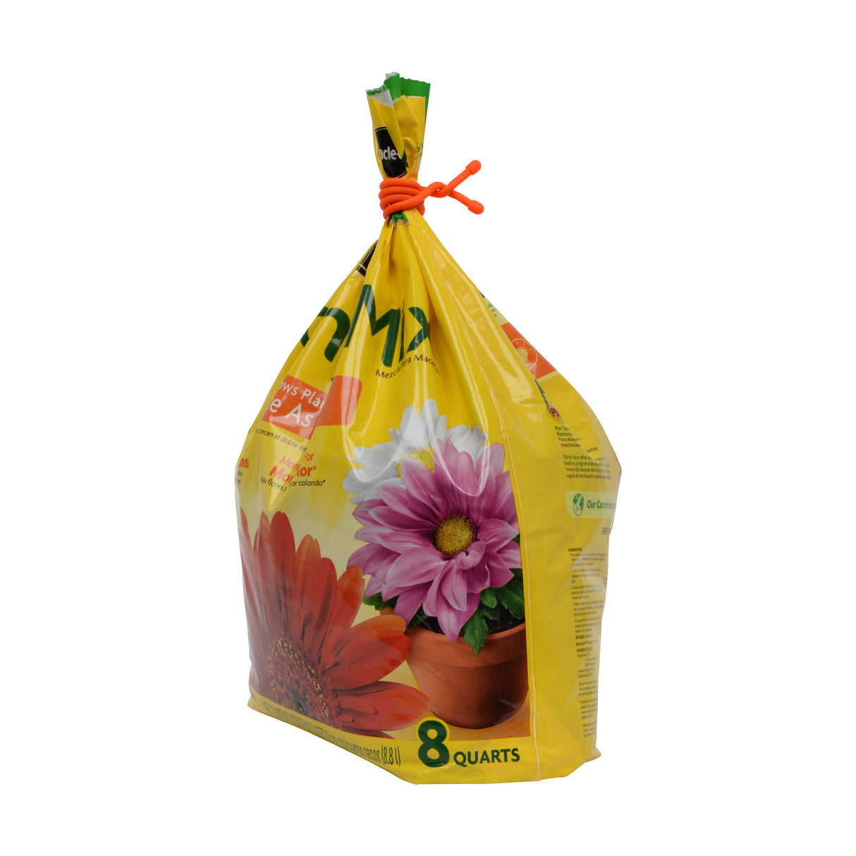 ギアータイ オリジナル 12インチ