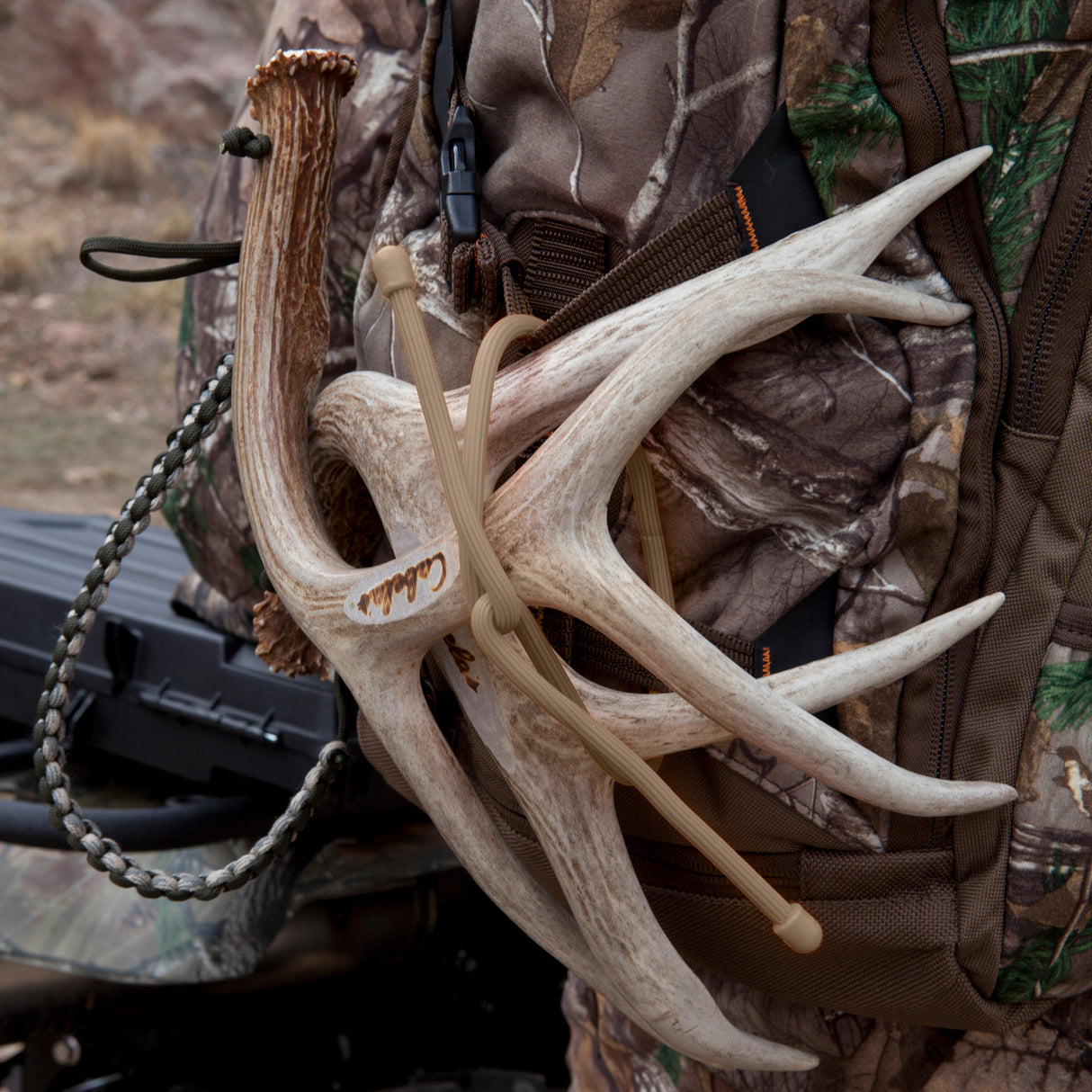 ギアータイ オリジナル 24インチ