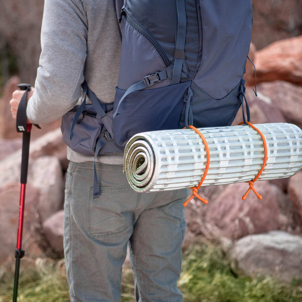 ギアータイ オリジナル 24インチ