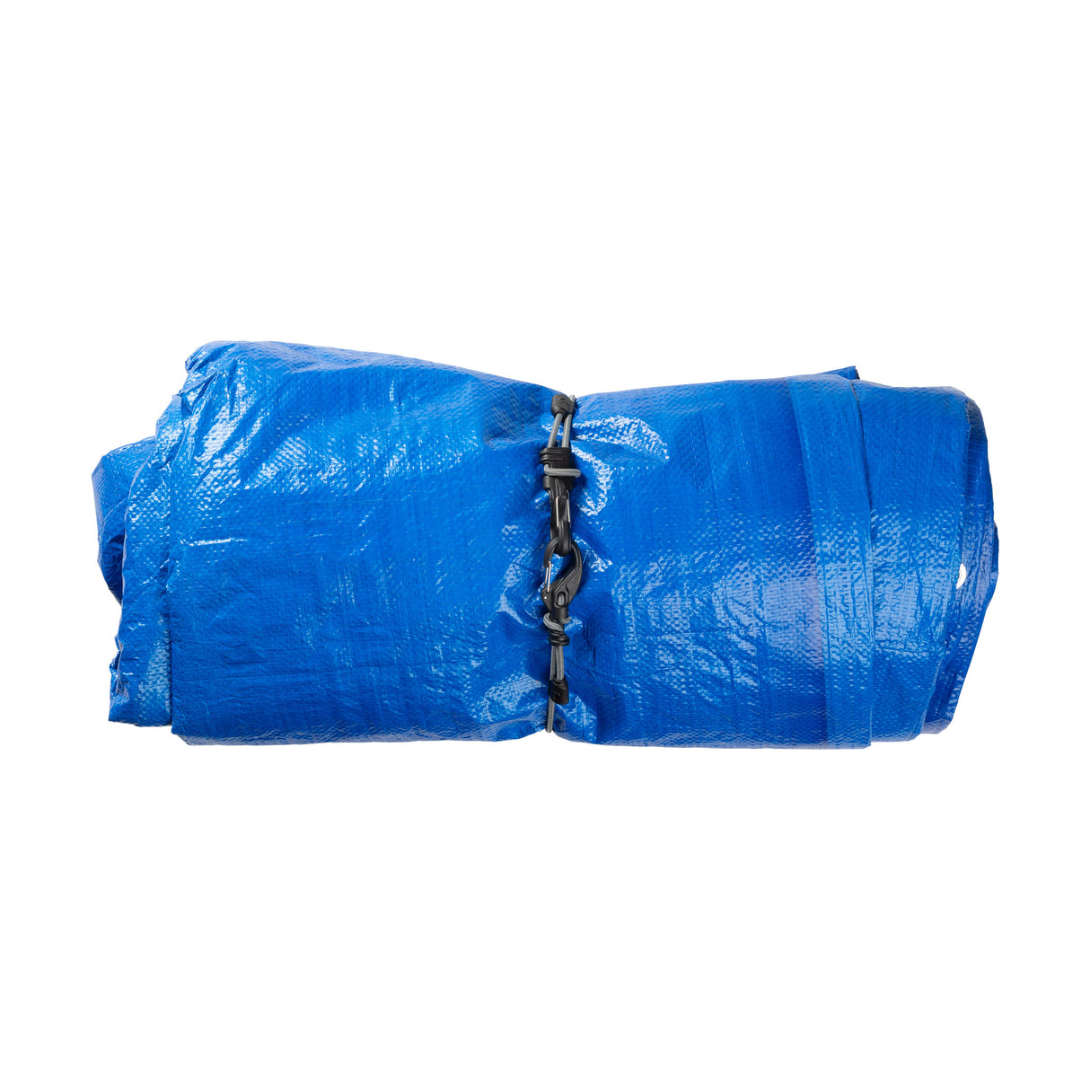 ノットボーンバンジー #5