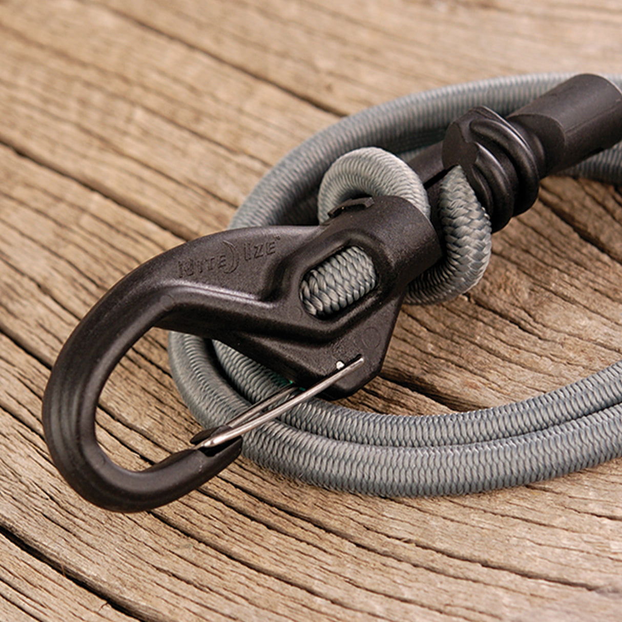 ノットボーンバンジー #9