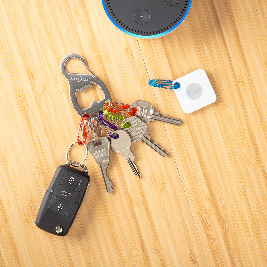 車の鍵をつけたキーラックプラスシルバー