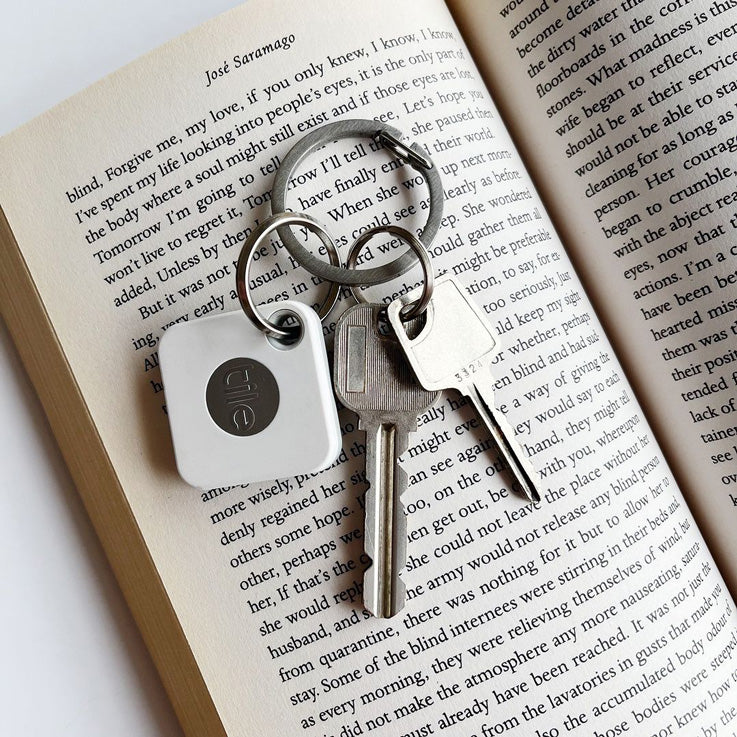 2本の鍵が付いたOキーリング