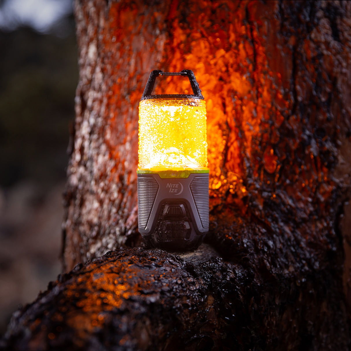 レイディアント RL2リチャージャブル ランタン