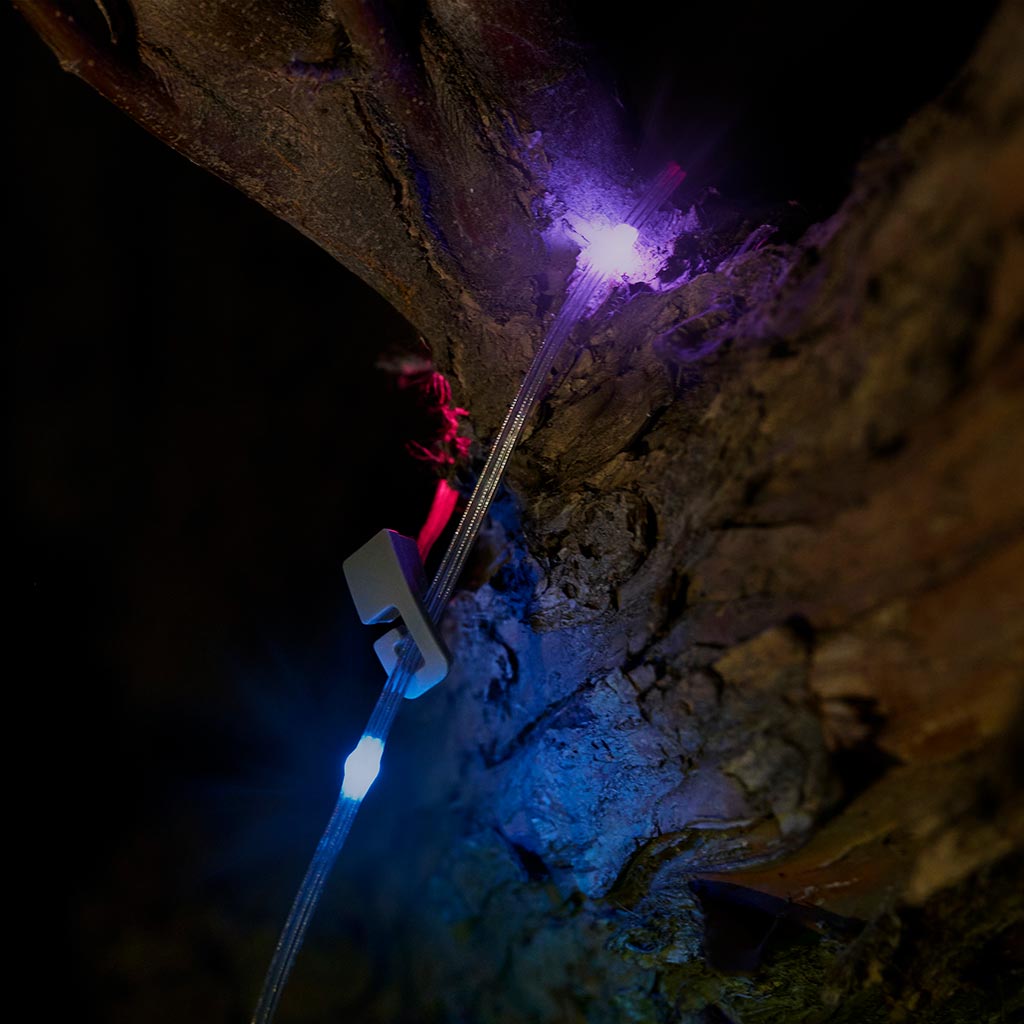 レイディアント スターリット リチャージャブルランタン+ストリングライト