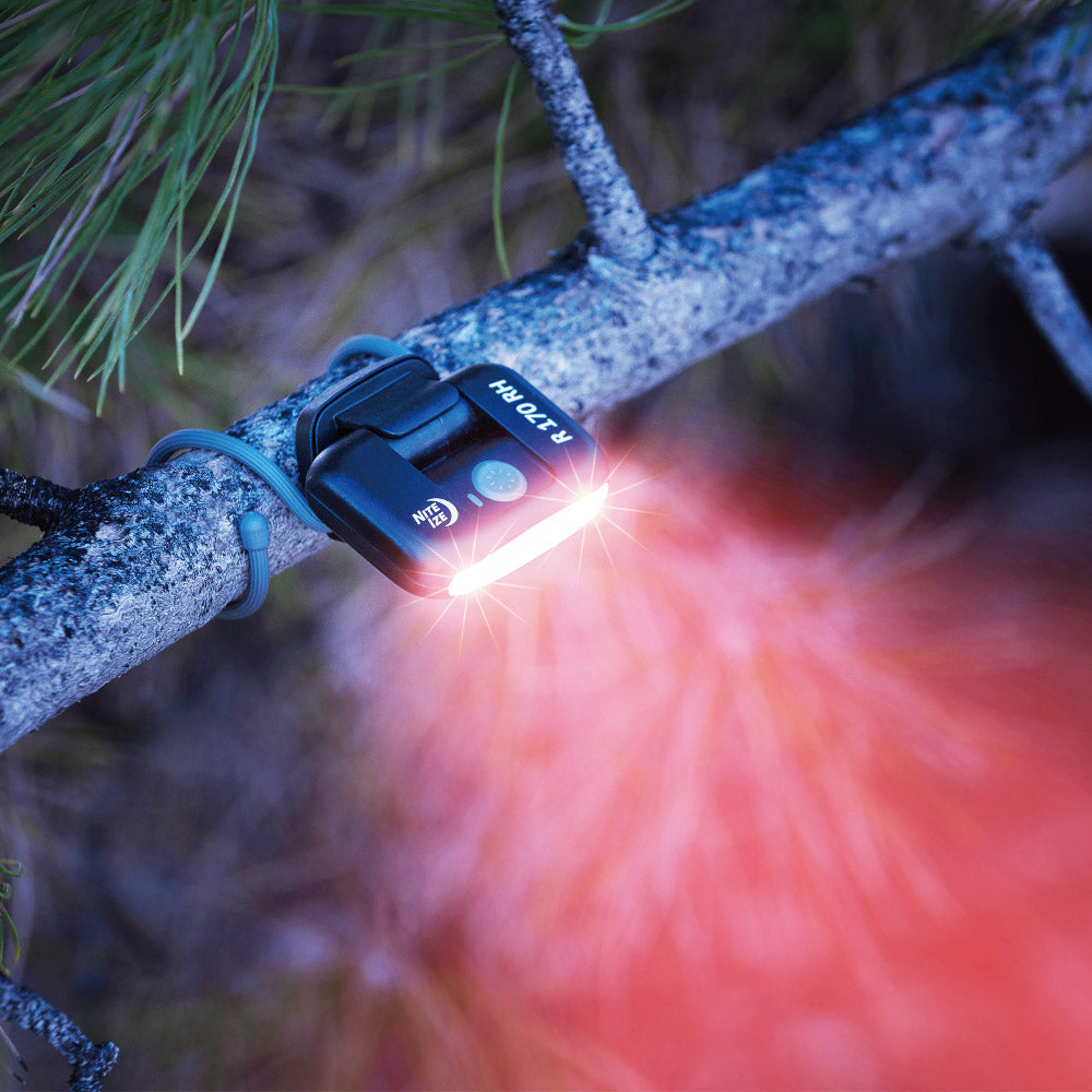 【残り1個】レイディアント170リチャージャブル タスクライト