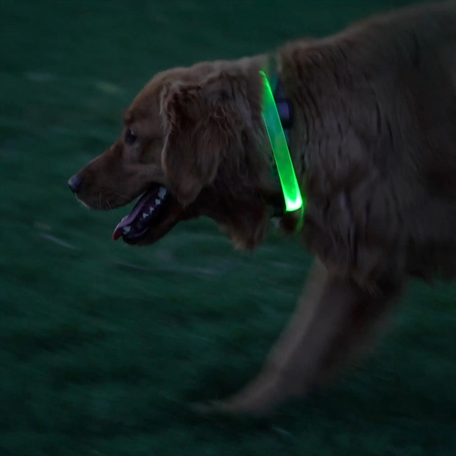 ナイトハウル マックス