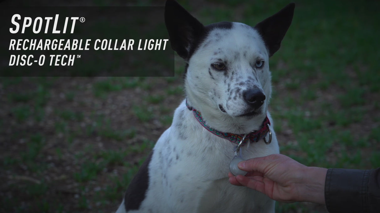 スポットリット リチャージャブル マルチカラー