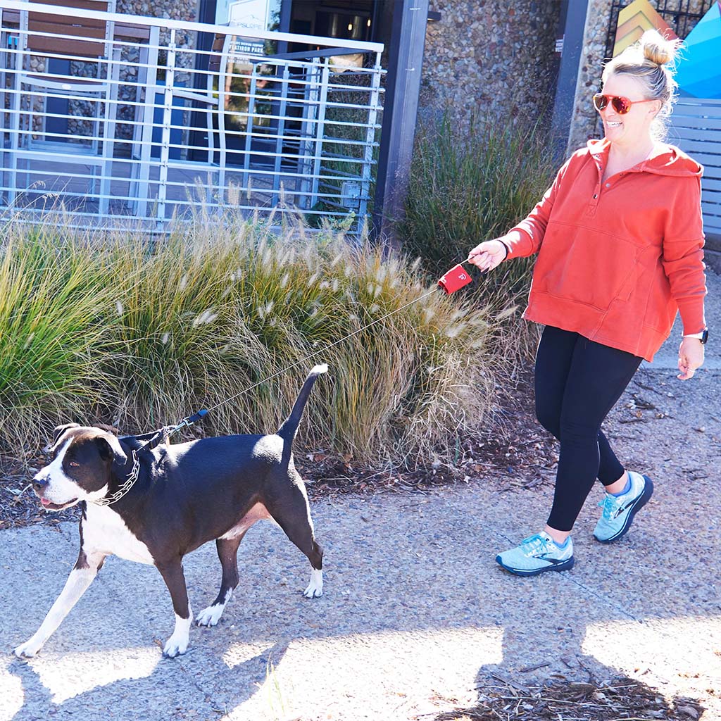 RAD STUDIO ラタン 犬型 バッグ　美品　即発送 RAD STUDIO ラタン 犬型 バッグ 美品 即発送 RAD STUDIO ラタン